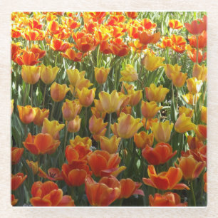 Tulips Glass Untersetzer