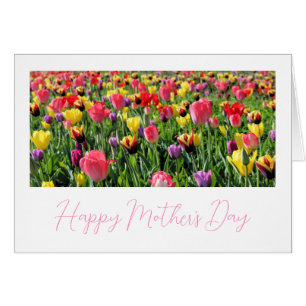 Tulips glücklicher Muttertag