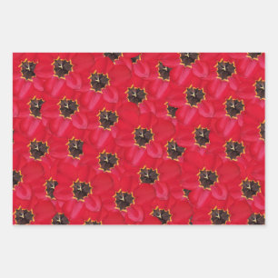 Tulips Hintergrund Packpapier Blatt