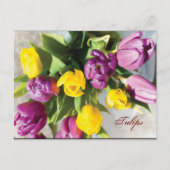 Tulips im Frühling Postkarte (Vorderseite)