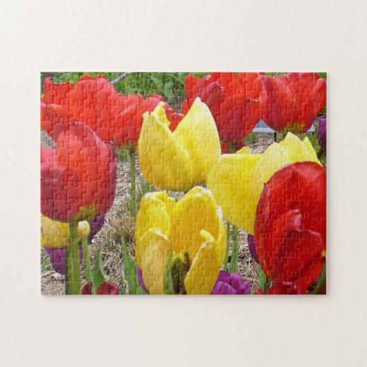 Tulips im Garden Puzzle (Horizontal)