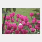 Tulips im Palais Royal Geschenkpapier Set (Vorderseite)