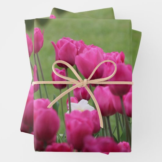 Tulips im Palais Royal Geschenkpapier Set (Beispiel)