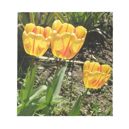 Tulips im Sun Notepad Notizblock (Vorderseite)