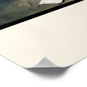 TULIPS in AMSTERDAM, Plakat (Ecke)