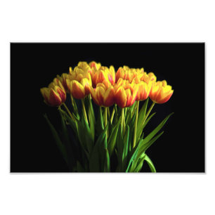 Tulips in Blume Vase Fotodruck