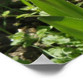 Tulips in der Sonne Print Poster (Ecke)