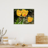 Tulips in der Sonne Print Poster (Küche)