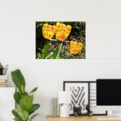 Tulips in der Sonne Print Poster (Heimbüro)