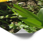 Tulips in der Sonne Print Poster (Ecke)