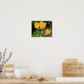 Tulips in der Sonne Print Poster (Küche)