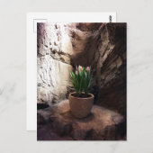 Tulips in einem Grotto Postkarte (Vorne/Hinten)