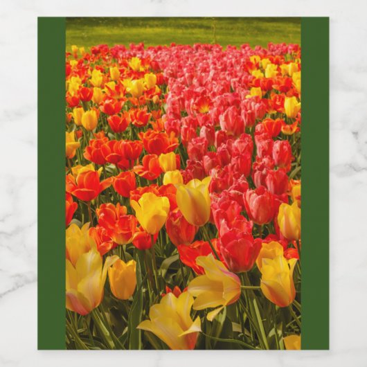TULIPS IN EINEM PARKWEIN ODER EINER KLEINEN WEINFL WEINETIKETT (Einzelnes Label)