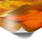 Tulips in Keukenhof Gardens, Amsterdam, 2 Fotodruck (Ecke)