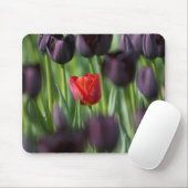 Tulips in Keukenhof Gardens, Amsterdam, Mousepad (Mit Mouse)