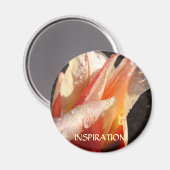 TULIPS INSPIRATION MAGNET Raindrops Tulip Blume (Vorderseite/Rückseite)