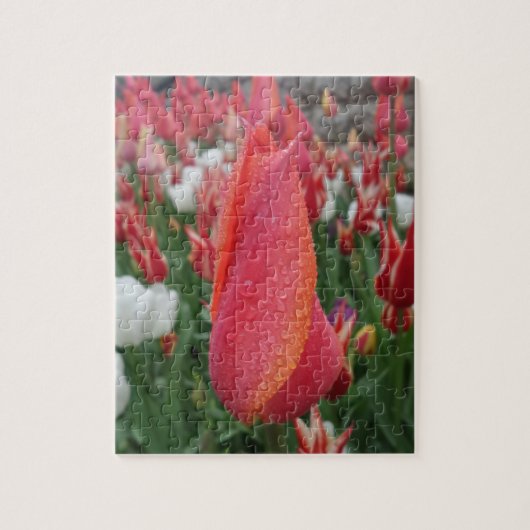 Tulips Jigsaw Puzzle (Vertikal)