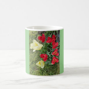 Tulips Kaffeetasse