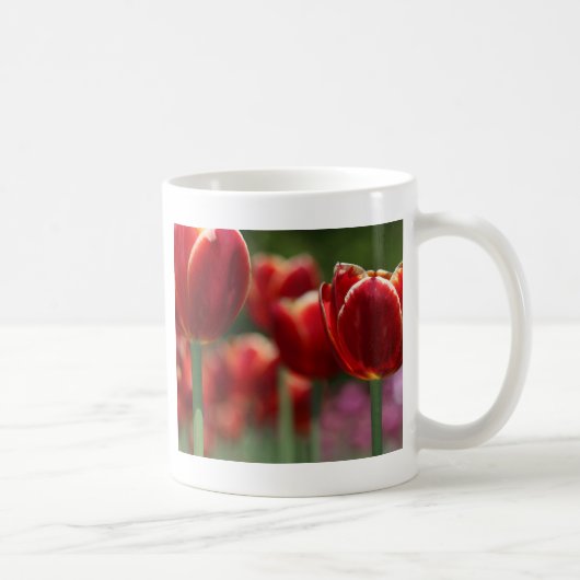 Tulips Kaffeetasse (Rechts)