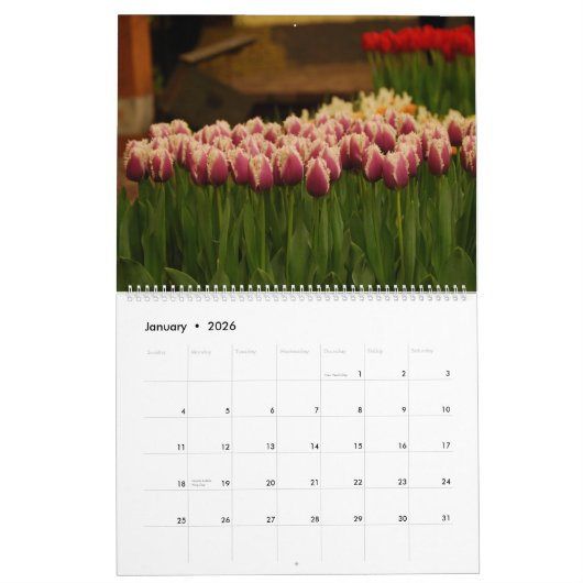 Tulips Kalender (Jan 2026)
