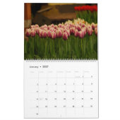 Tulips Kalender (Jan 2027)