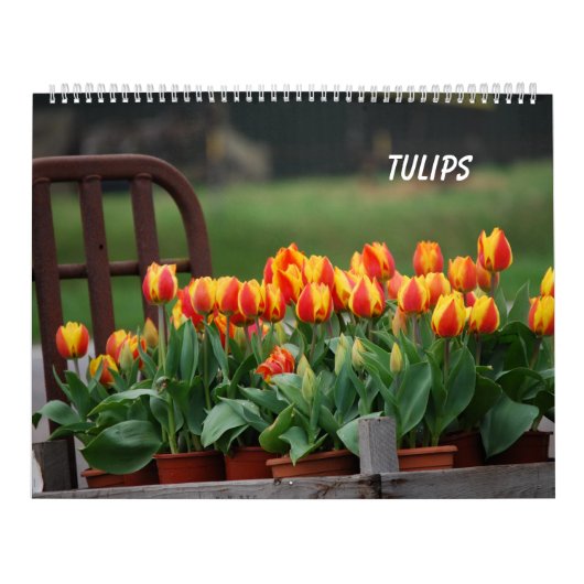 Tulips Kalender (Titelbild)
