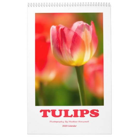Tulips-Kalender 2020 Kalender (Titelbild)