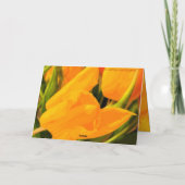 Tulips Karte (Rückseite)