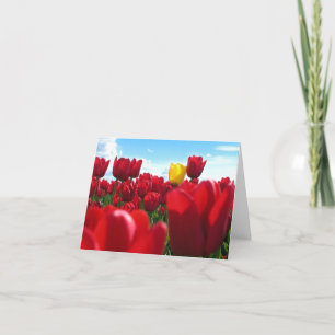 Tulips Karte