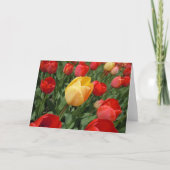 TULIPS KARTE (Vorderseite)
