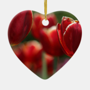 Tulips Keramikornament