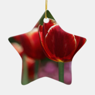 Tulips Keramikornament