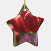 Tulips Keramikornament (Links)