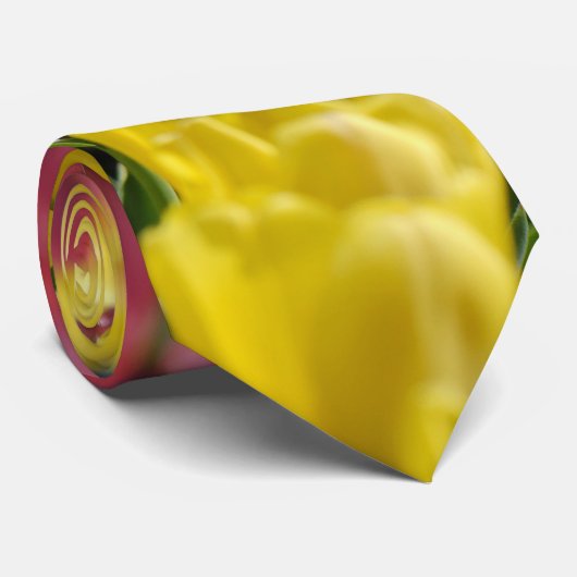 Tulips Krawatte (Gerollt)