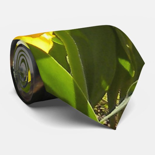 Tulips-Krawatte Krawatte (Gerollt)