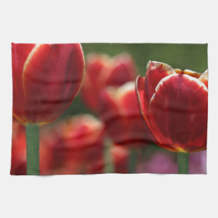 Tulips Küchentuch