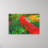 Tulips Leinwand Art (Vorderseite)
