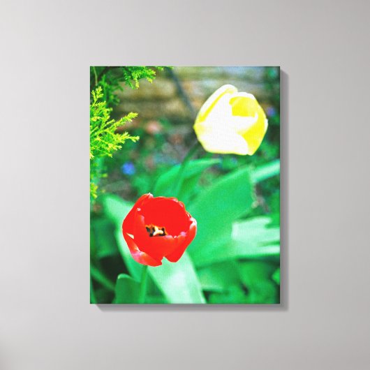 Tulips Leinwanddruck (Vorderseite)