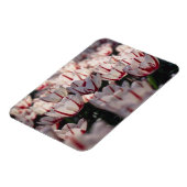 Tulips Magnet (Linke Seite)