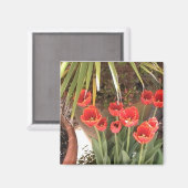 Tulips Magnet (Vorderseite/Rückseite)