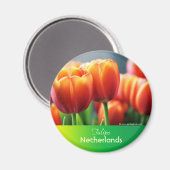Tulips Magnet (Vorderseite/Rückseite)