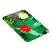 Tulips Magnet (Rechte Seite)