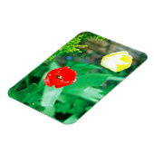 Tulips Magnet (Linke Seite)