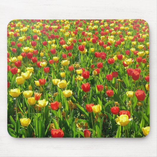 Tulips-Meer II Mousepad (Vorne)