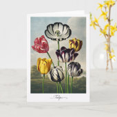 Tulips — Modern Botanical Reinterpretation Karte (Gelbe Blume)