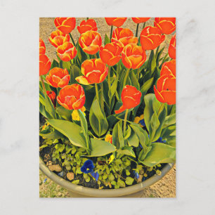 Tulips Modernes Fest der Blume Postkarte