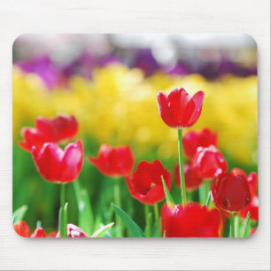 Tulips Mousepad