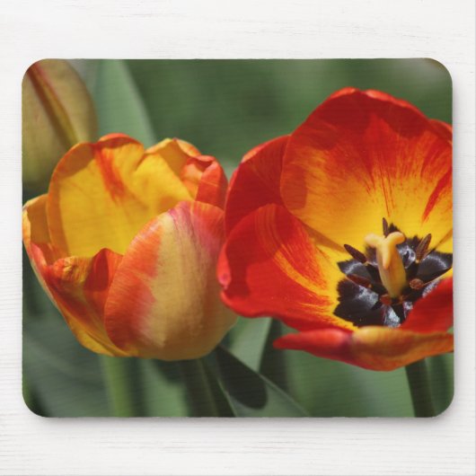 Tulips Mousepad (Vorne)