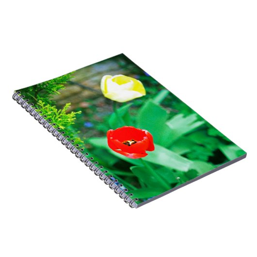 Tulips Notizblock (Rechte Seite)