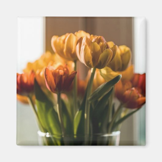 Tulips Orange Blume Magnet (Vorne)